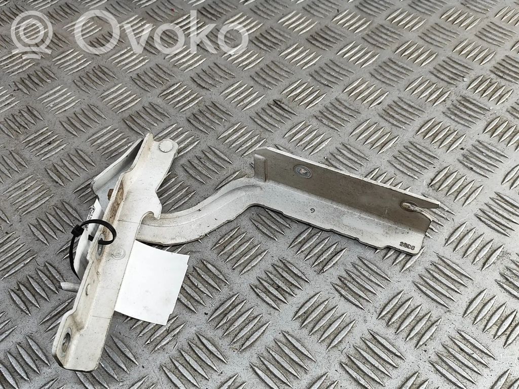 Engine bonnet/hood hinges   791295