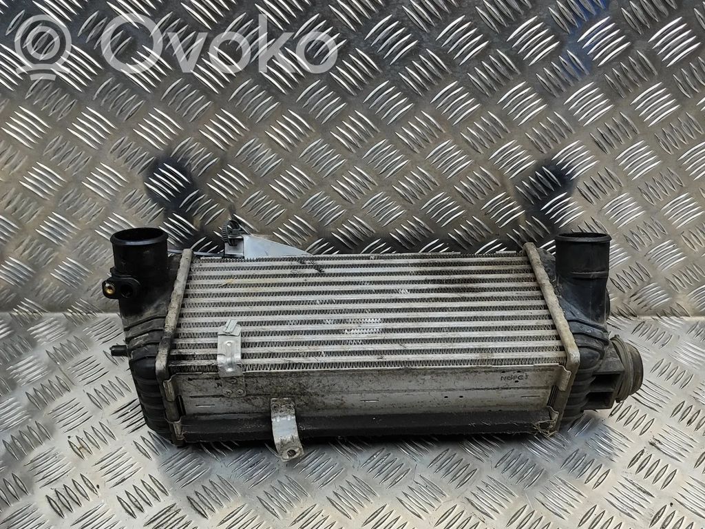 Intercooler radiator   282702U210
