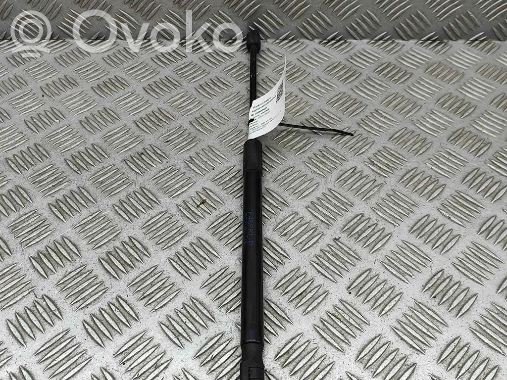 BMW X1 F48 F49 Ammortizzatore portellone anteriore/cofano 