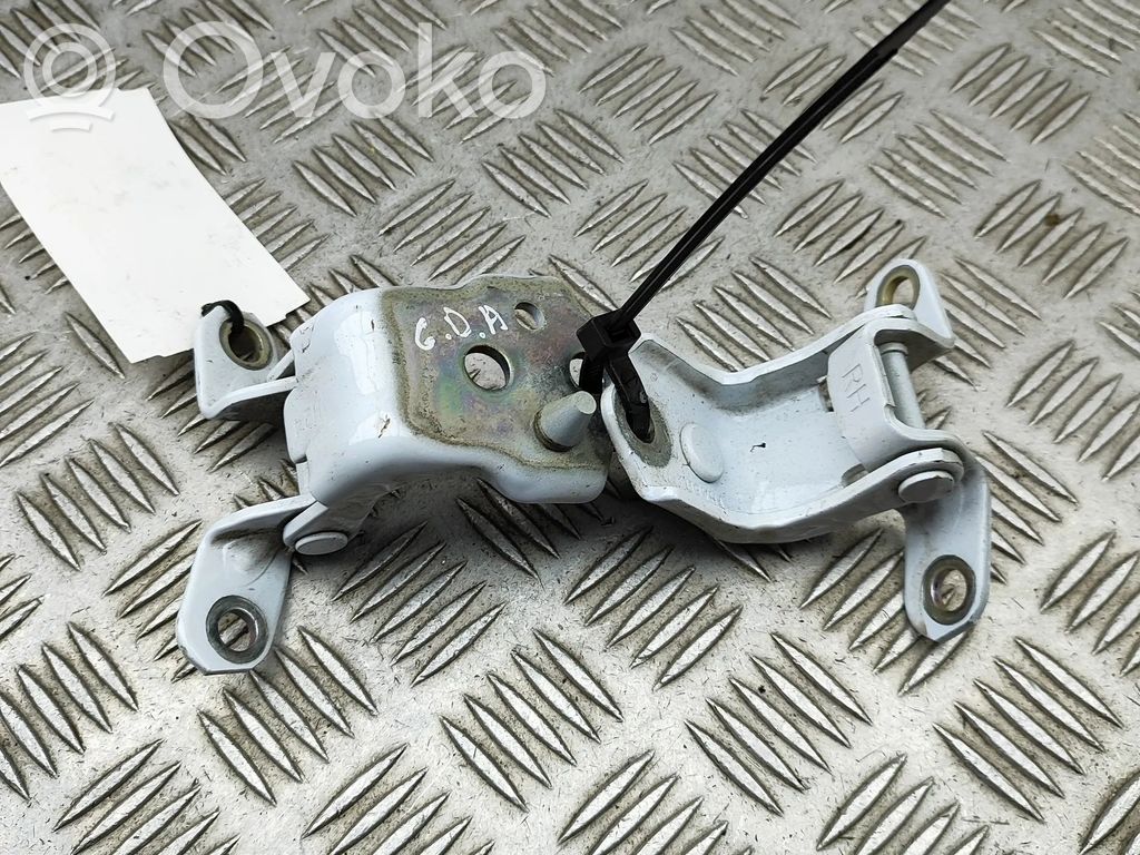 Set balamale ușă spate   AB392626810AE,AB392626800AE