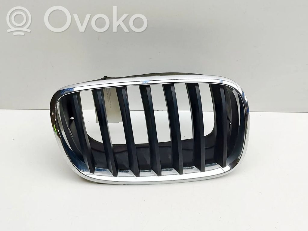 BMW X6 E71 Etusäleikkö 
