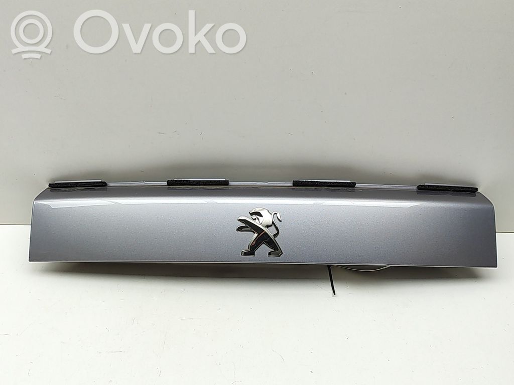 Peugeot 2008 II Éclairage de plaque d'immatriculation 
