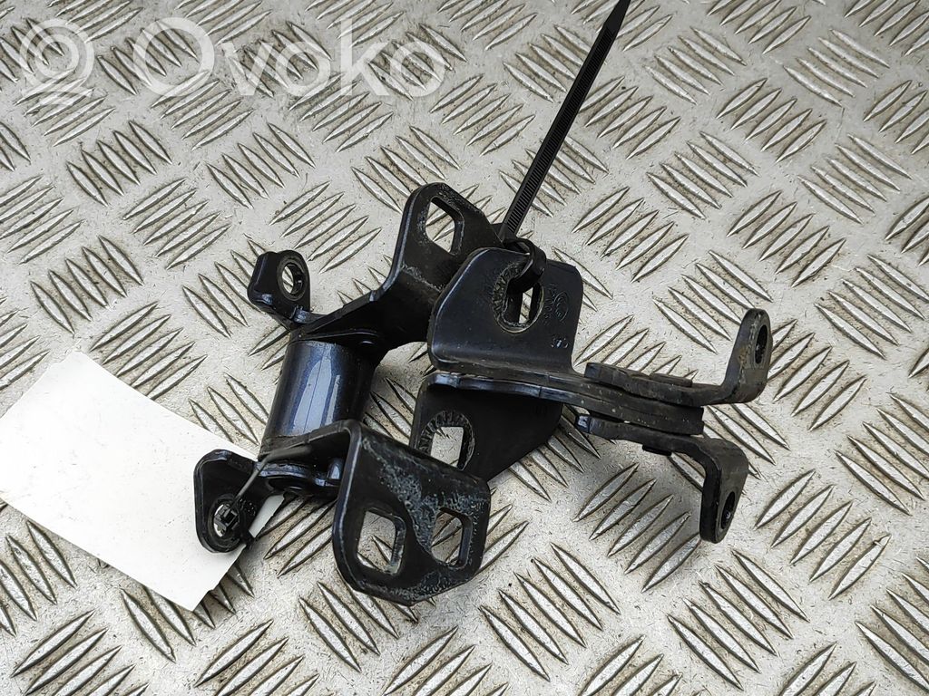 Tesla Model S Rear door hinge set 
