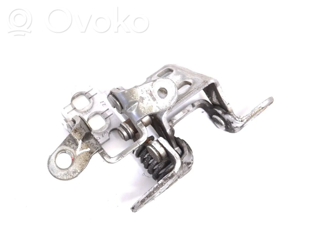 Rear door lower hinge