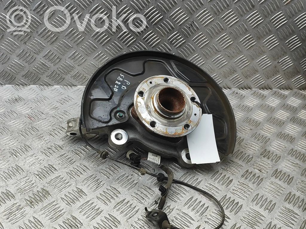 Rumba   P6589901
