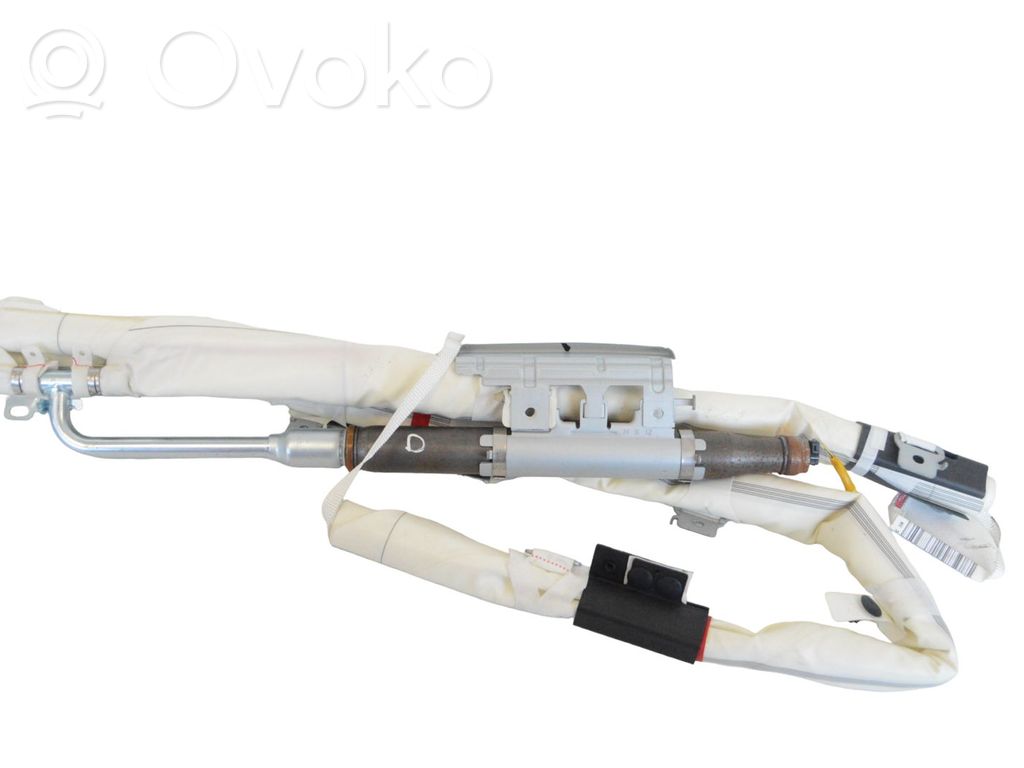Airbag del techo   850202P500