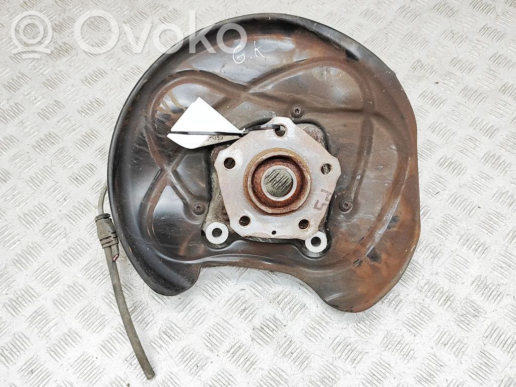 Galinė stebulė   4KE505431C