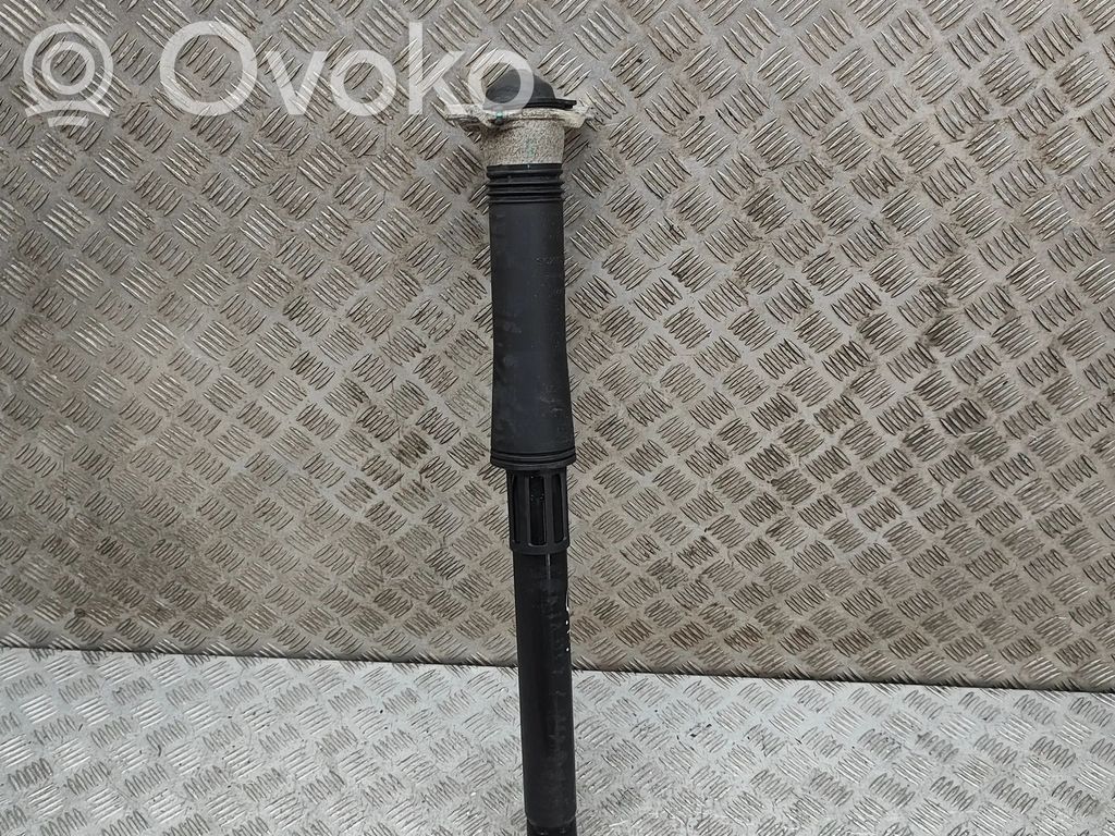 BYD Atto 3 Stoßdämpfer hinten 