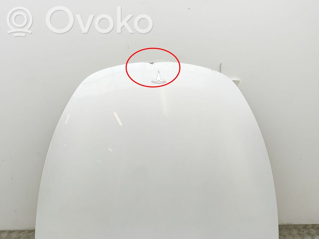Tesla Model Y Engine bonnet/hood 