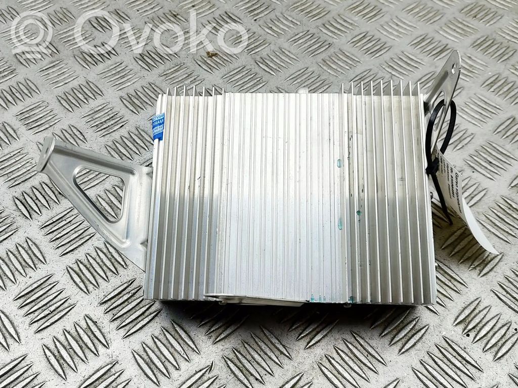 Tesla Model 3 Garso stiprintuvas 