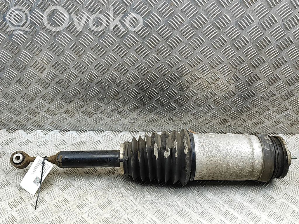 Stoßdämpfer Luftfederung   102746100G