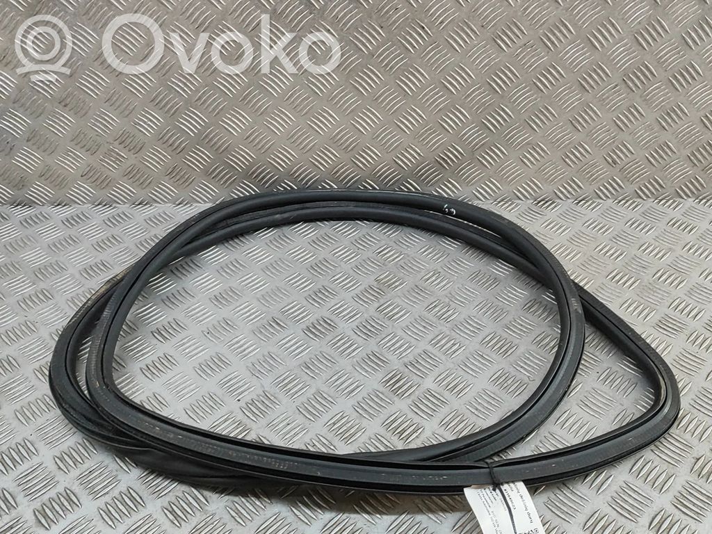 Gumowa uszczelka drzwi tylnych   1268089900,SA3F5407114