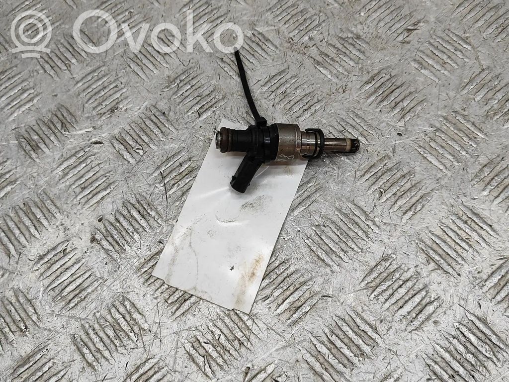 Injector combustibil   1079036N