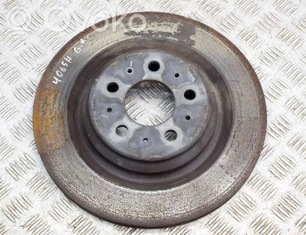 Disco de freno trasero   104463100D
