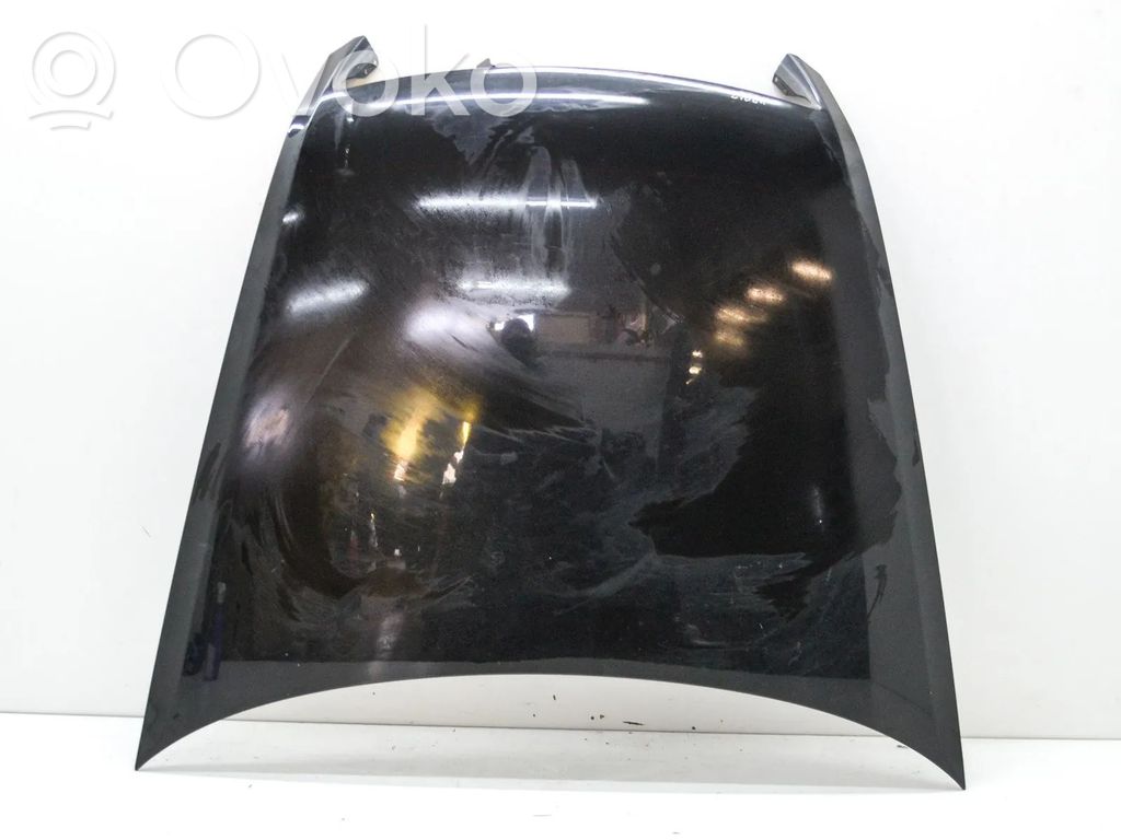 Motorhaube   3D0823031G