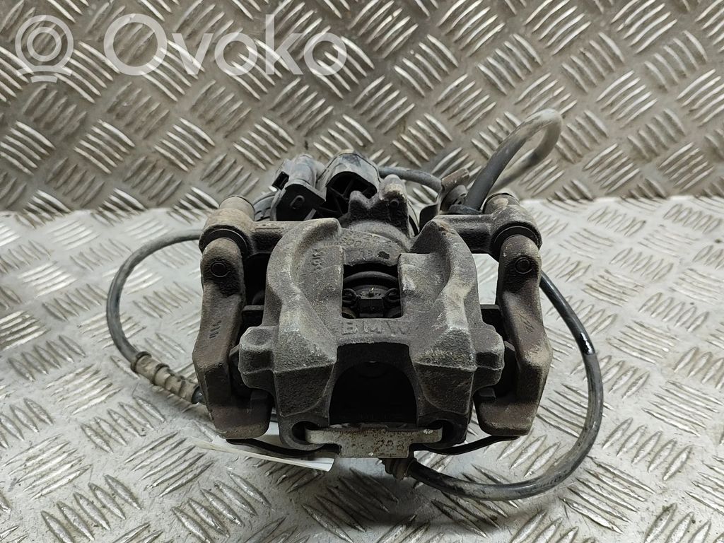Takajarrusatula   6883032,6883034