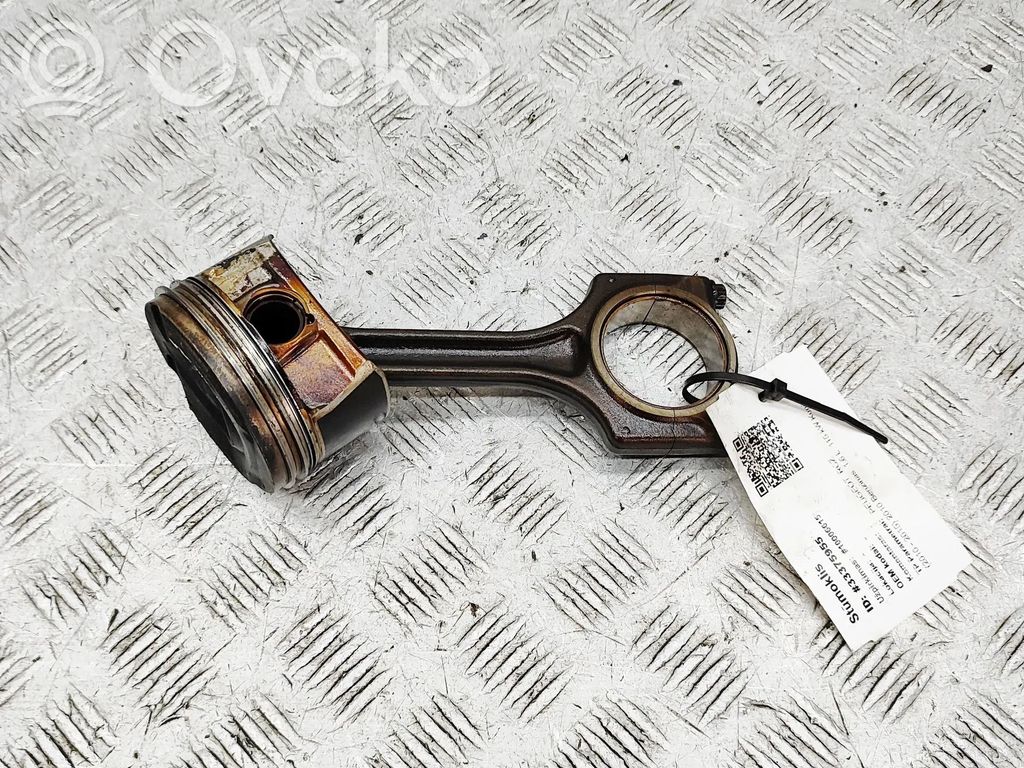 Piston   060396,1613665180