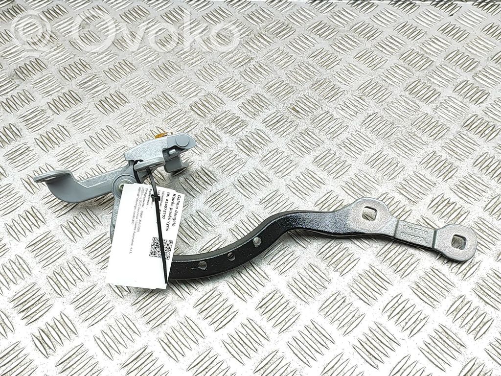 BMW XM Aizmugurējā pārsega eņģe (-ess) 