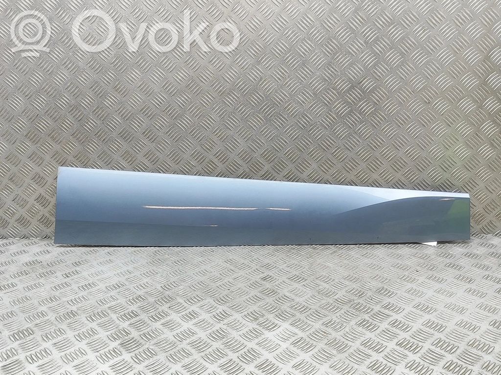 Volkswagen ID.4 Rivestimento della portiera anteriore (modanatura) 