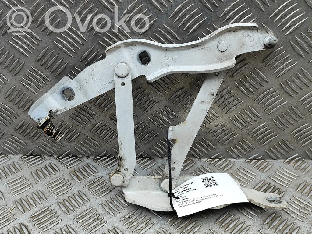 BMW Z4 E89 Cerniere del vano motore/cofano