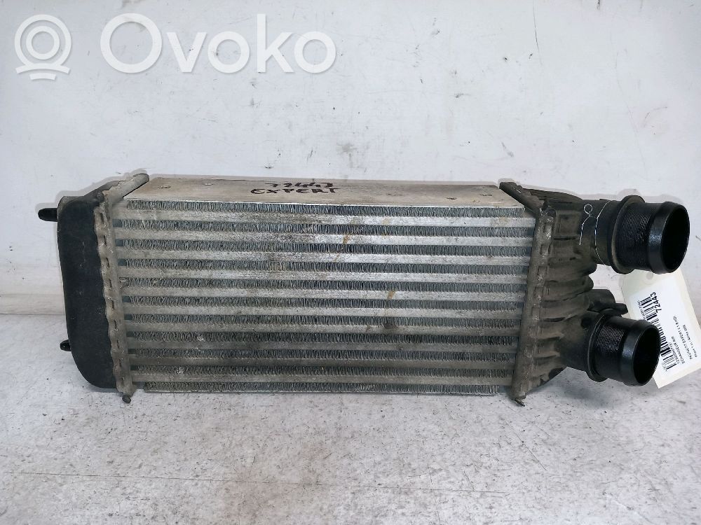 Peugeot Expert Kita variklio skyriaus detalė 