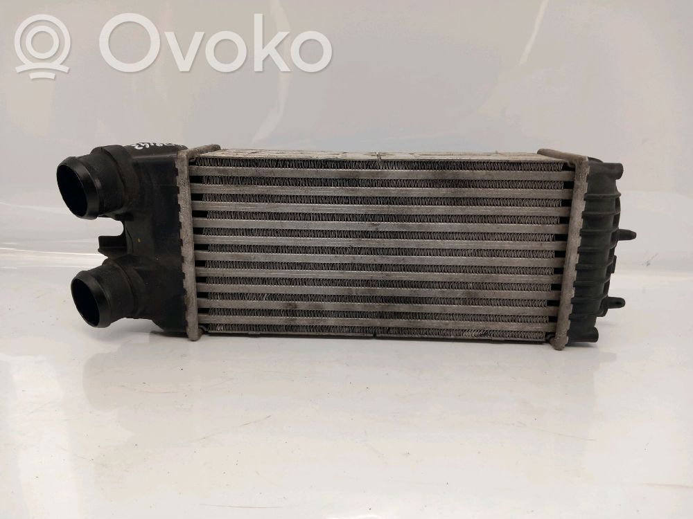 Citroen Xsara Picasso Kita variklio skyriaus detalė 