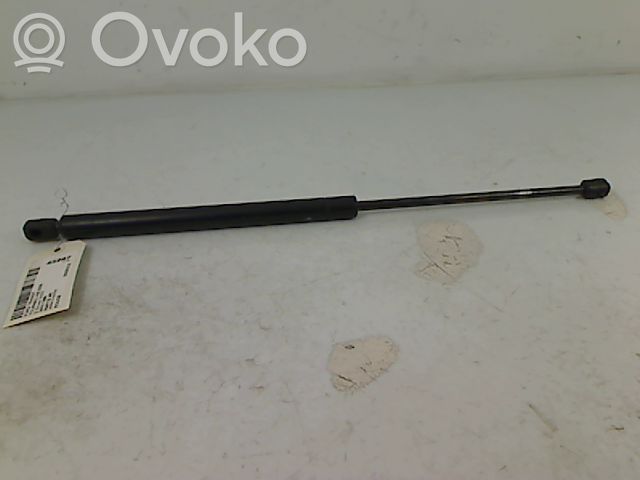 Ford Transit Tailgate/trunk strut/damper 