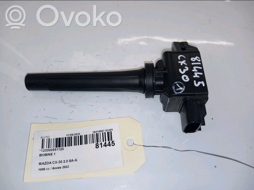High voltage ignition coil   PYFS18100,PYFS18100