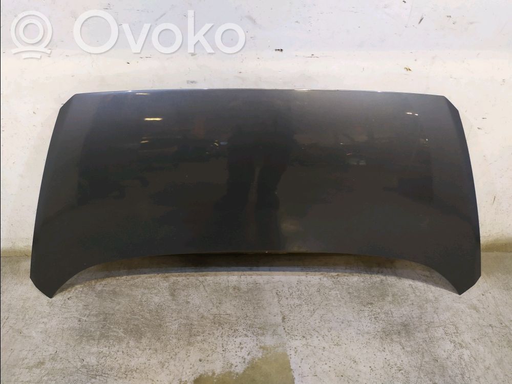 Dzinēja pārsegs (vāks)   664001P000,664001P000