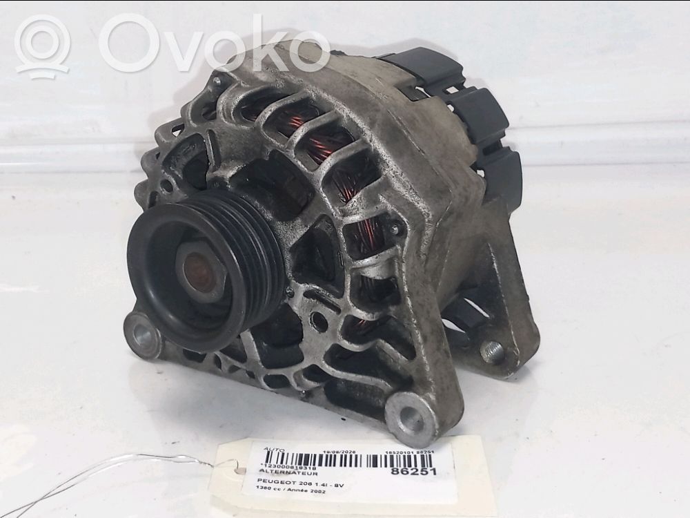Peugeot 206 Generatore/alternatore