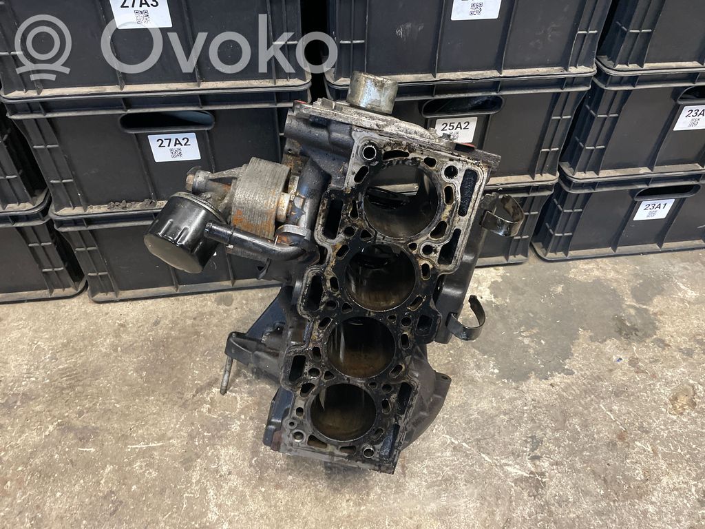 Nissan Juke I F15 Engine block 