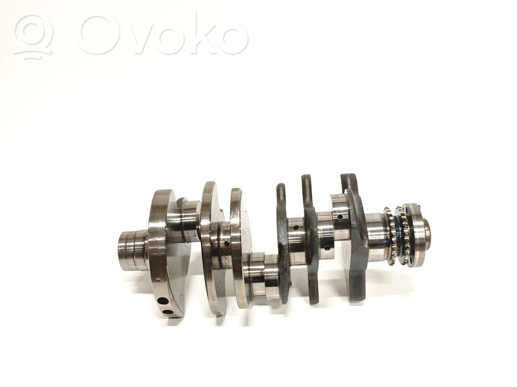Crankshaft   059AE