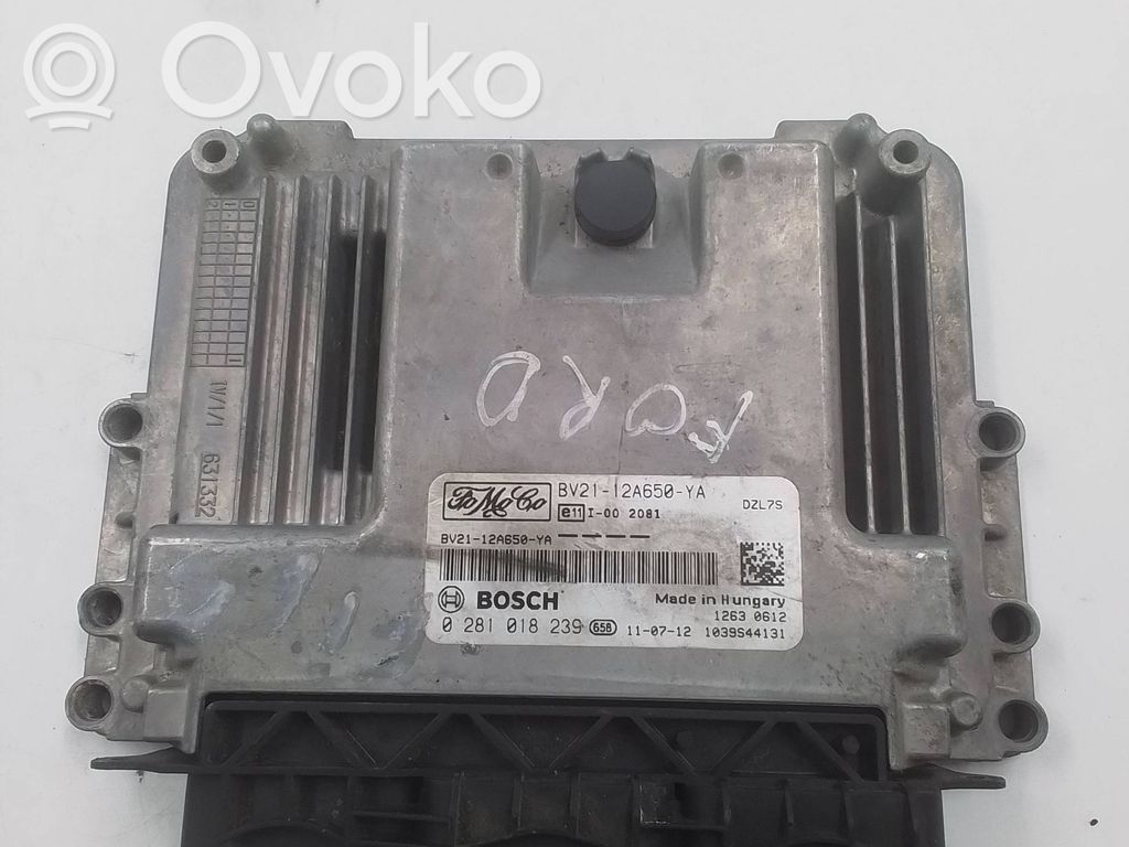 Engine control unit/module   BV2112A650YA,0281018239