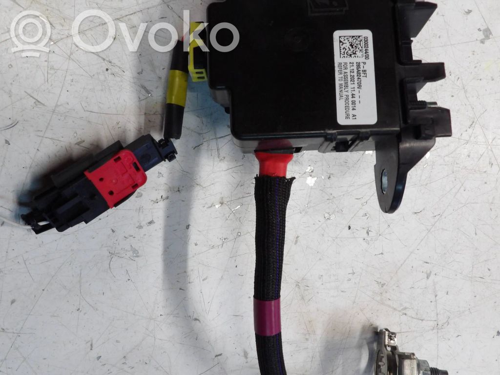 Cable positivo (batería)   285A82470R,030024400,202111440014
