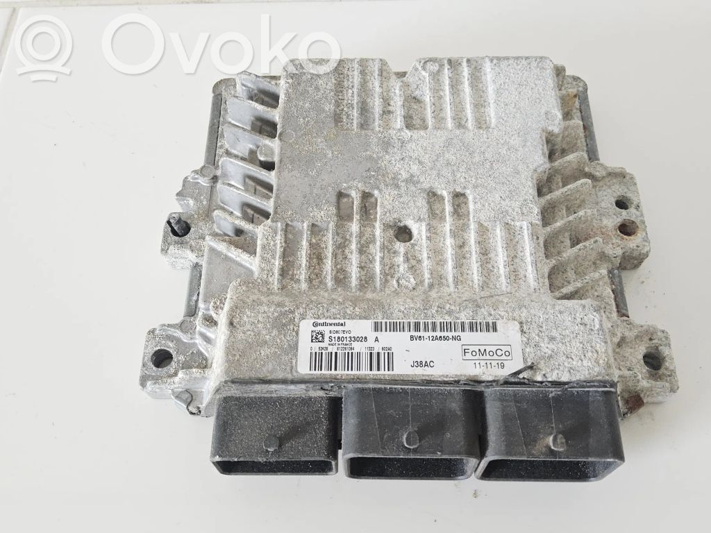 Ford Focus Engine control unit/module 