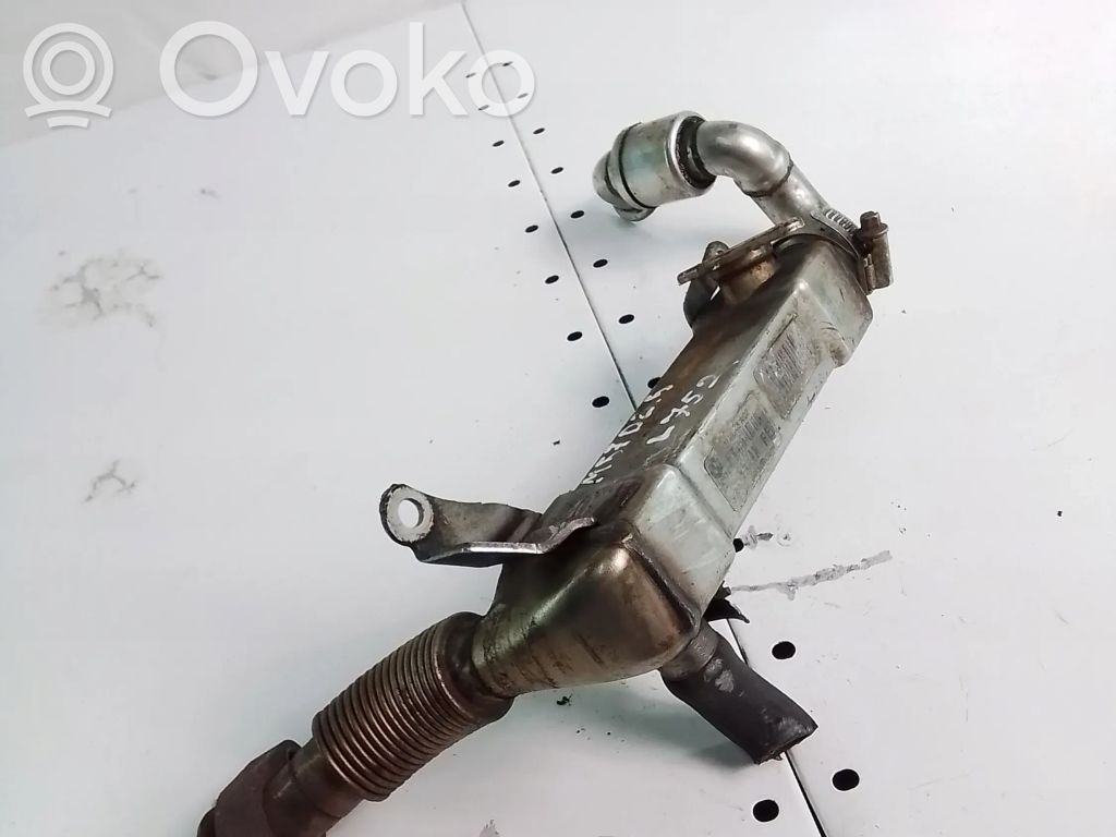 BMW 5 E60 E61 EGR dzesētājs 