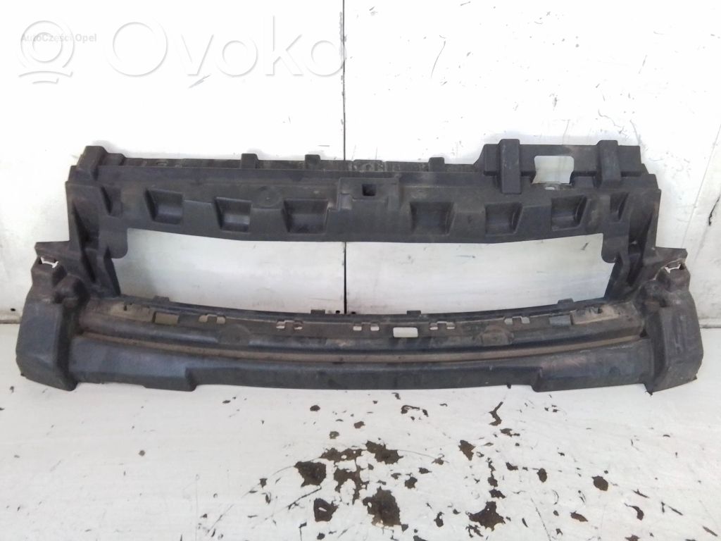 Peugeot Expert Radiatoru paneļa augšējā daļa (televizors) 