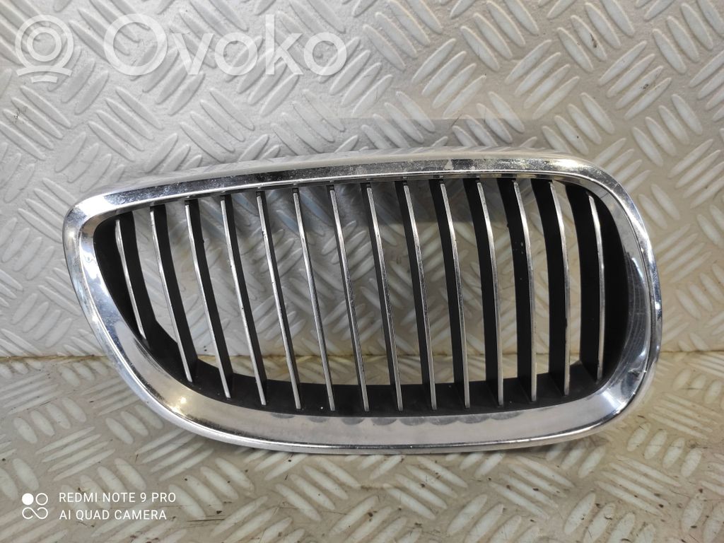 Front grill   22405910
