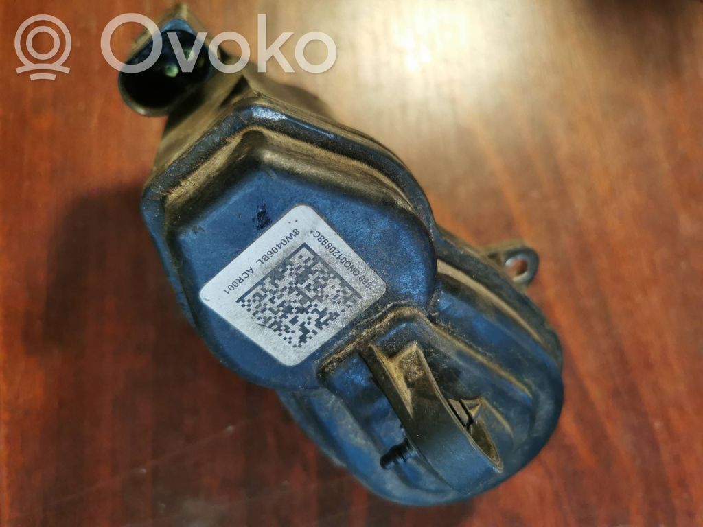 Takajarrusatula   8W0406BL