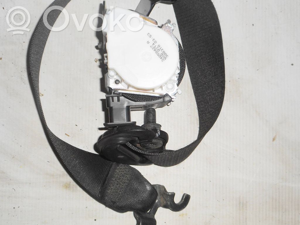 Cinturón delantero   34058427