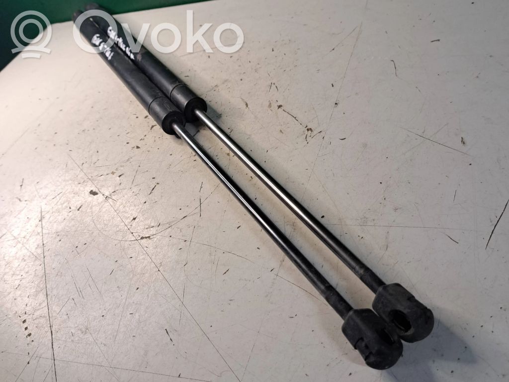 Tailgate/trunk strut/damper