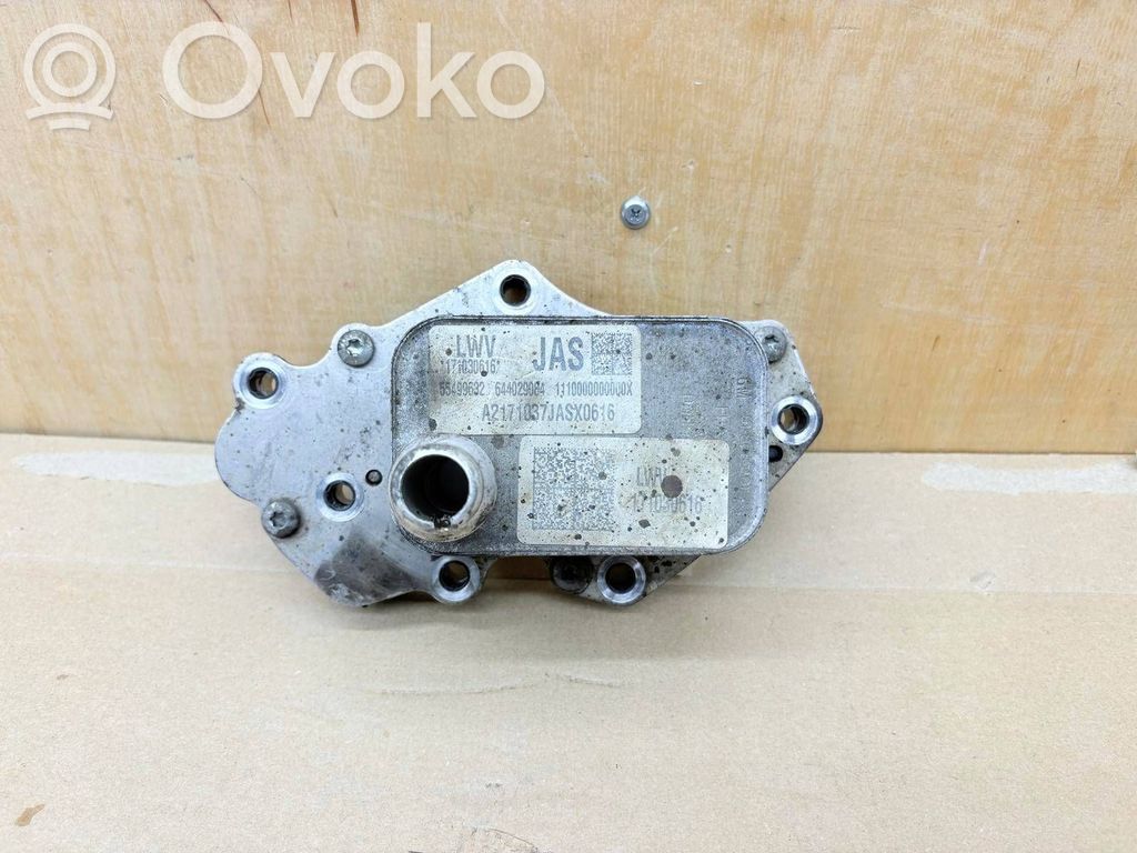 Opel Astra K Engine oil radiator 