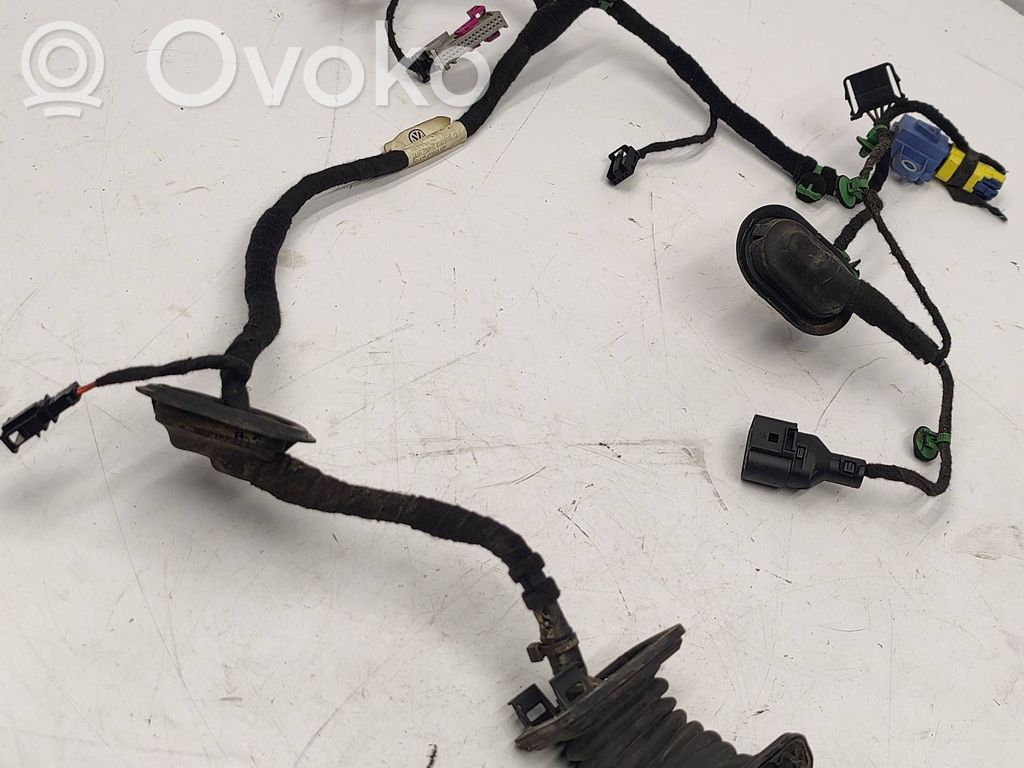 Volkswagen Golf V Cableado de puerta delantera 