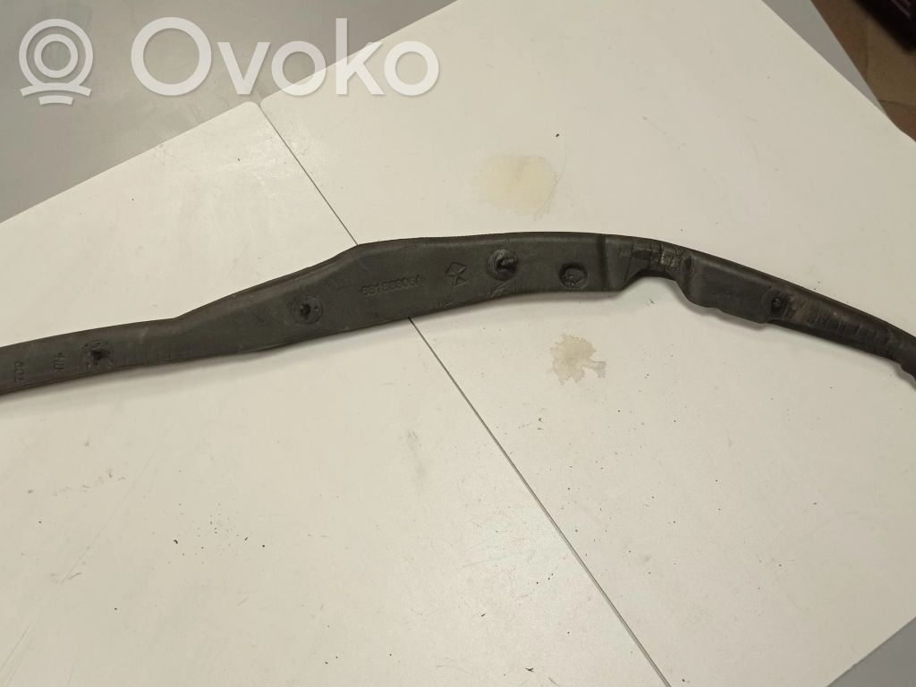 Chrysler Pacifica Rubber seal sliding door (on door) 