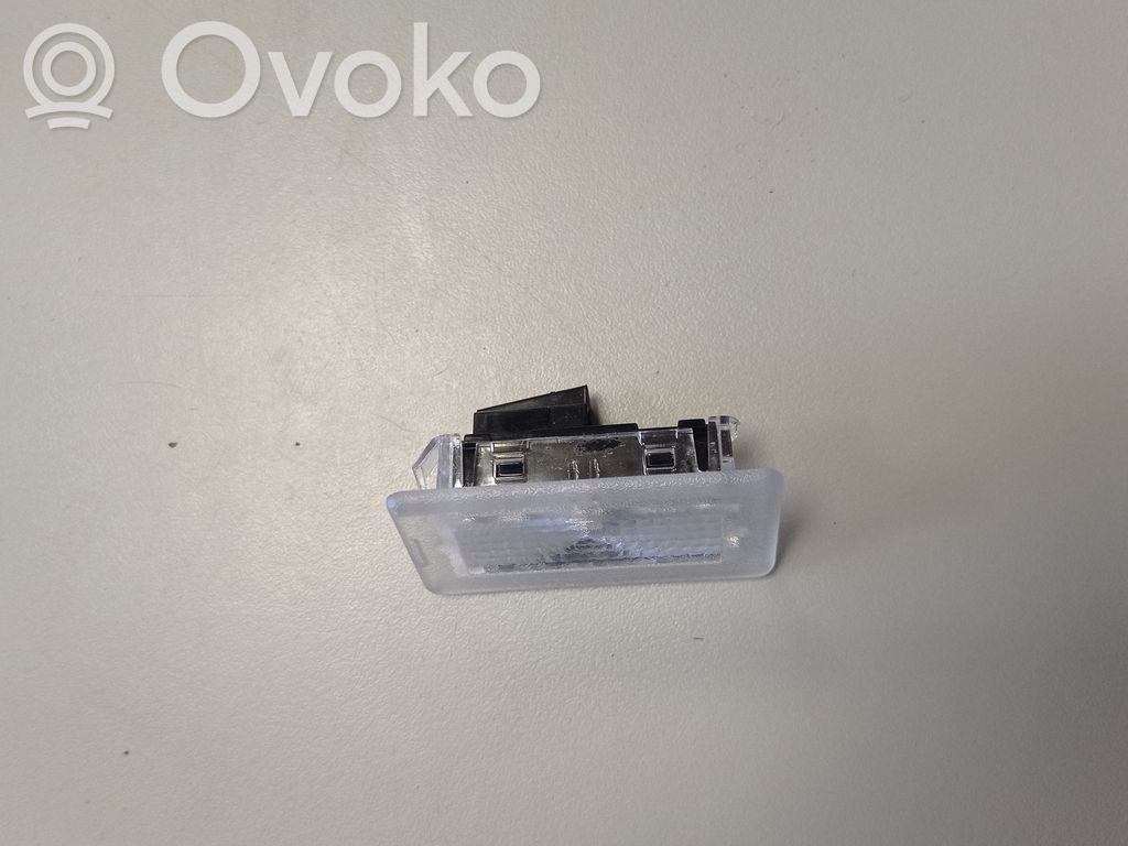 Tesla Model Y Front door interior light 