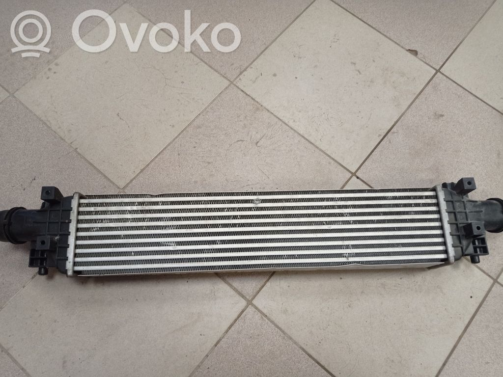 Interkūlerio radiatorius   95026329,GM95026329