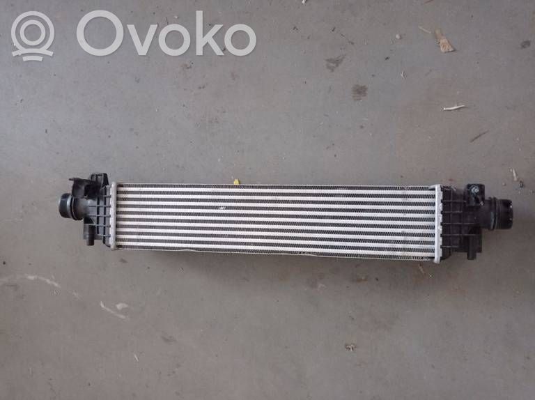 Interkūlerio radiatorius   95026329,8M27CJ,GM95026329,T300