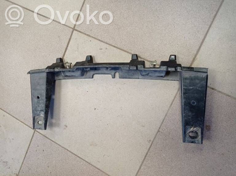 Front grill   13DSAC0040,59587,13DSAC0040A