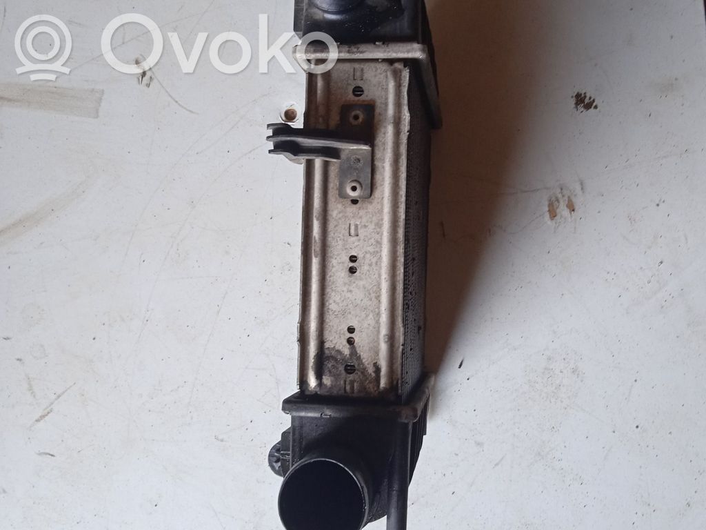 Interkūlerio radiatorius   8200471885B