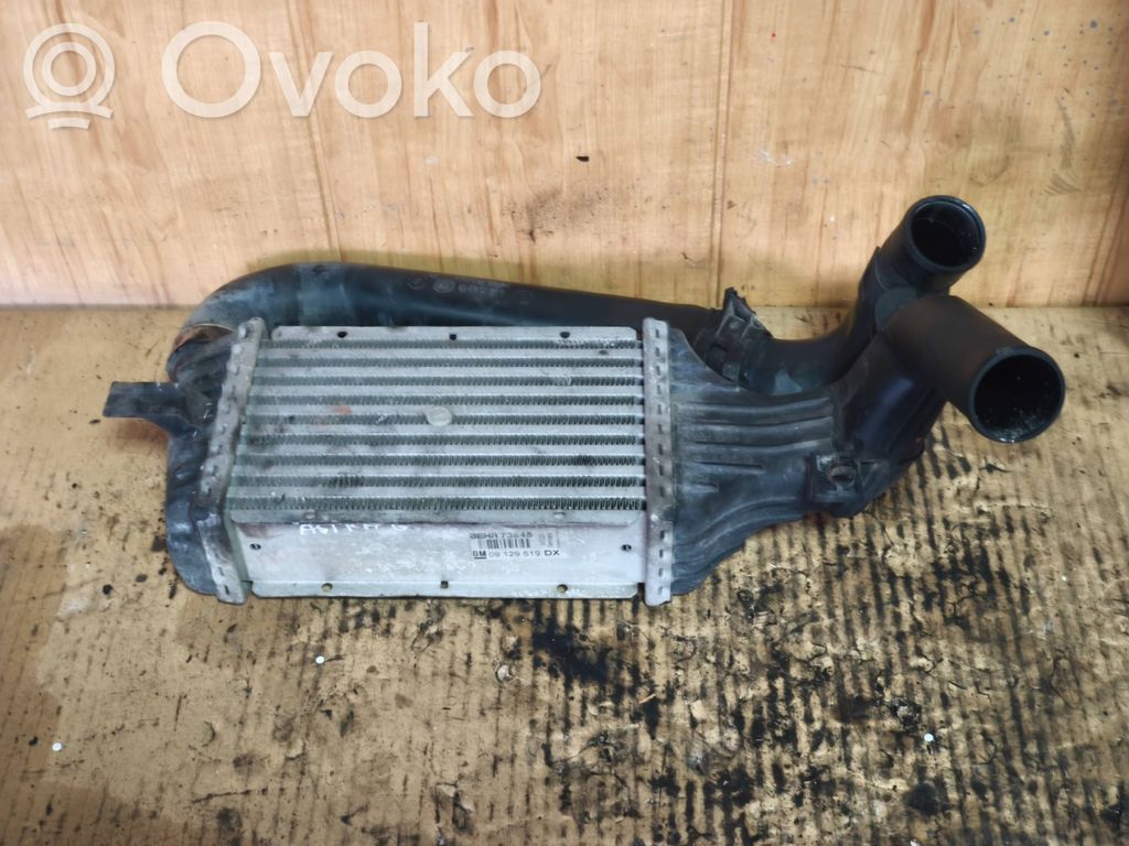 Opel Astra G Interkūlerio radiatorius 